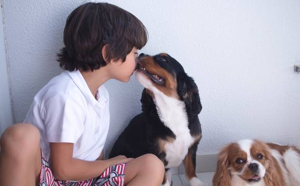 Davi + Toddy + Lucy = Amor!