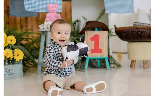 COMO CURTIR E SE DIVERTIR NA FESTA DE 1 ANO DO SEU FILHO