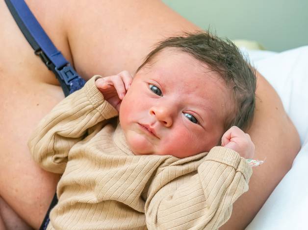 Nascimentos de O nascimento do Bento