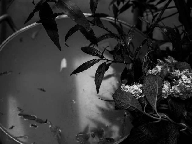 RUAS de Oferendas de Humanidade