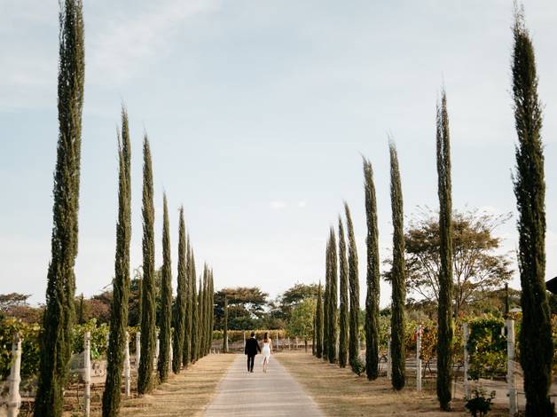 Pré Casamento de Nikole e Gustavo 