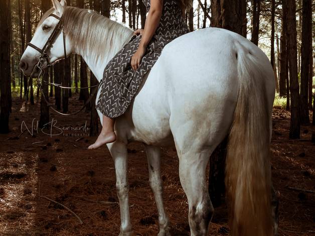 Feminino de Ensaio Feminino Gabriela