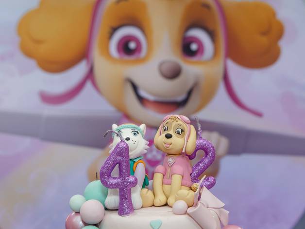 Infantil de Festa Infantil - Maria Fernanda e Anna Cecília 