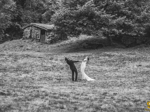Trash  The Dress de Flora e Gui 