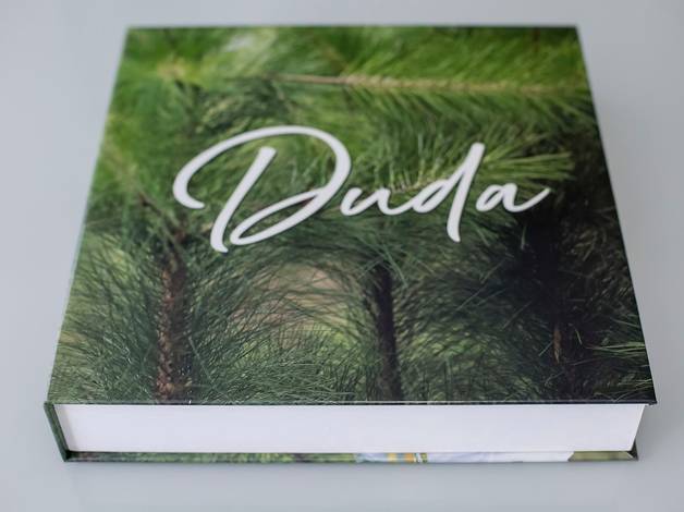 ÁLBUNS DIAGRAMADOS de Duda 15 anos