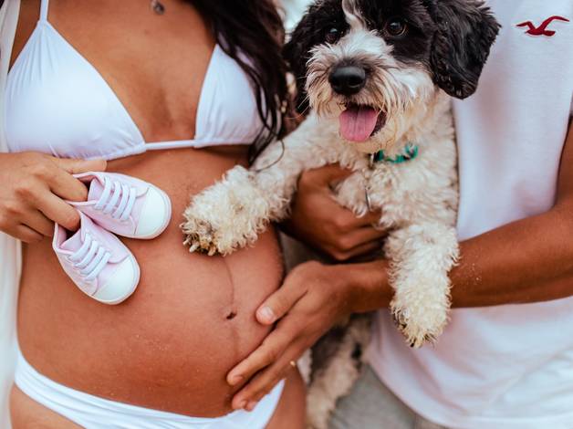 Gestante de À espera da Laura