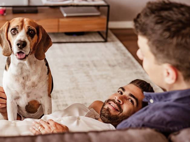 Pets de Vinícius, Diego e Valentim