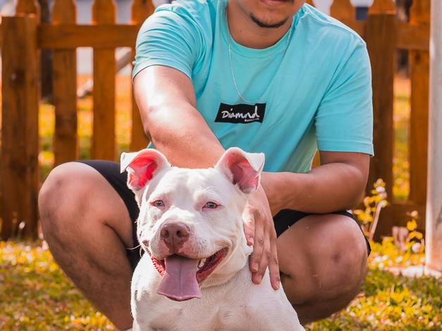 Projeto PETS de Mateus e Thor