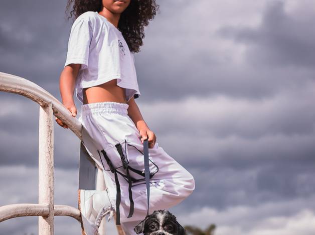 Projeto PETS de Laura X Apolo