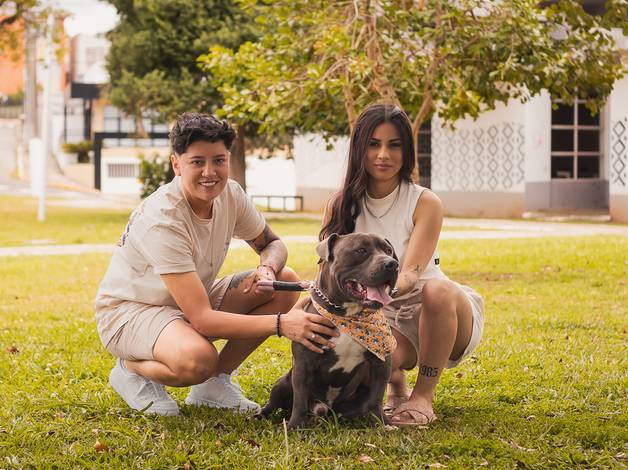 Projeto PETS de Zeus Erica Fernanda