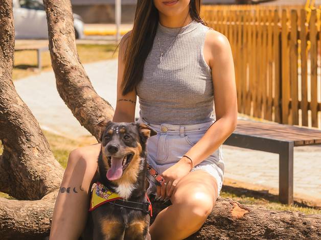 Projeto PETS de Maria