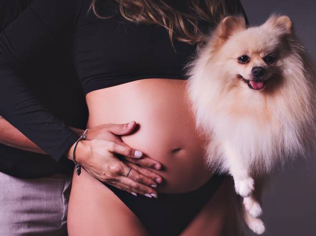 gestante de À espera de Vitório ♥