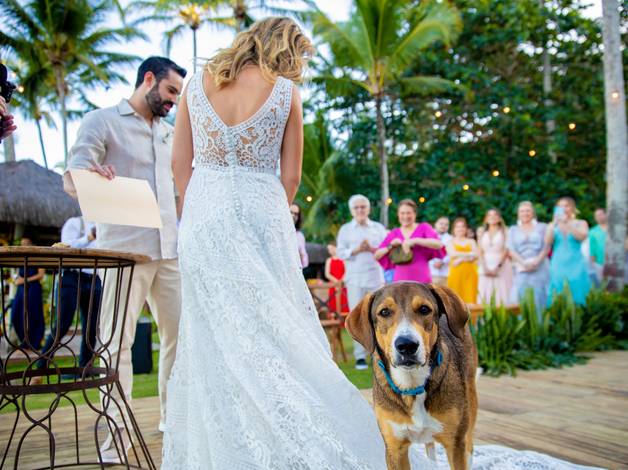 Casamento de Henrique & Giovana