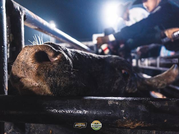 Eventos  de 18º Expocotri -  Sexta Feira