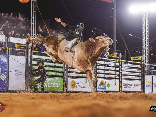 Eventos  de Guarantã Rodeio Show - Domingo Final