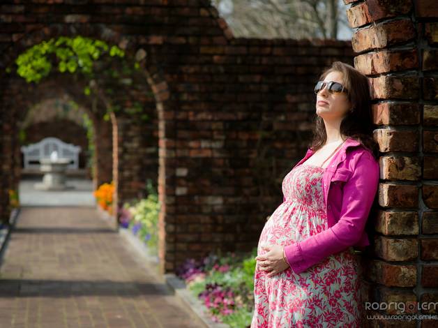 Gestantes  de Sandra Vales 