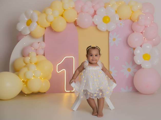 Smash The Cake de Liz