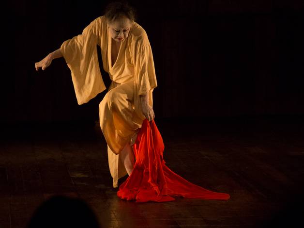 dança/música/teatro  de Tadashi Endo - 2015