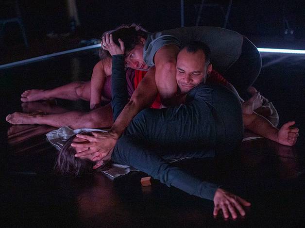dança/música/teatro  de Um exercício para uma Metamorfose - 2024