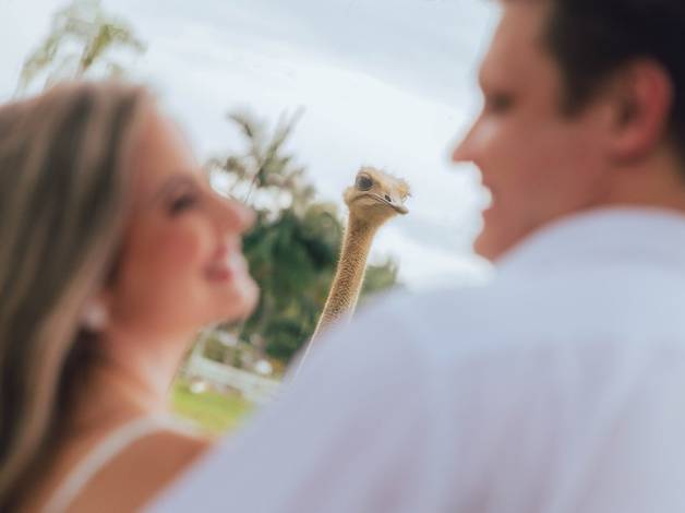 Pré Wedding de Vanessa e Fábio