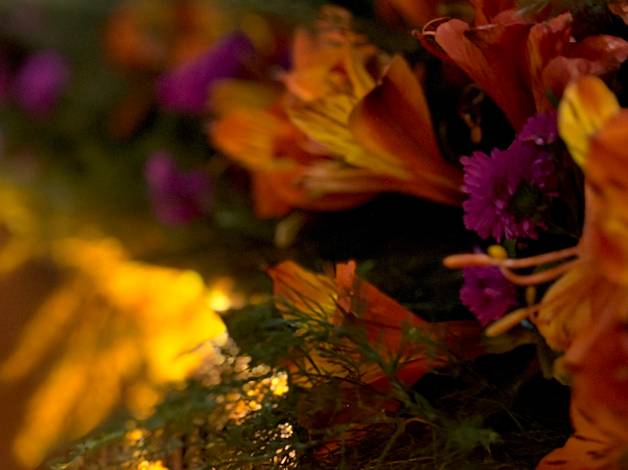 EVENTOS CORPORATIVOS de Corporate NeoTropical Experience • Aniversario 40 años ONG FIE