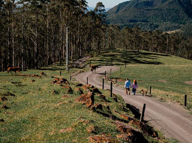 WEDDING de DENISE E LUCAS PRE WEDDING