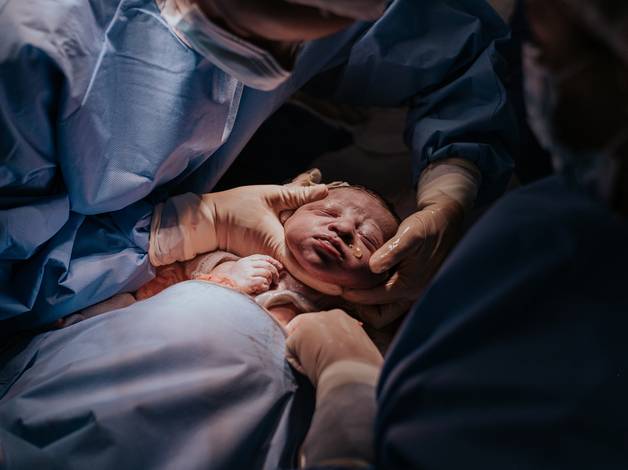 Partos de A chegada do João Leonardo