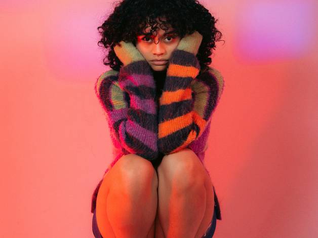 Editorial de STEISSY