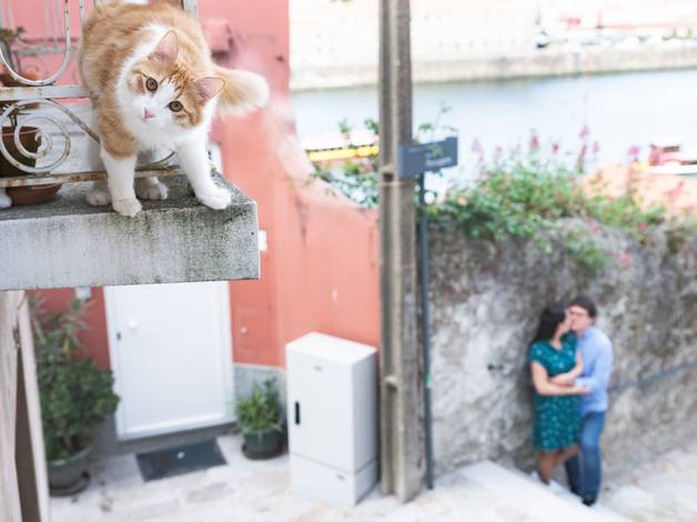 DRAFT de Wedding - Juliana + Diogo