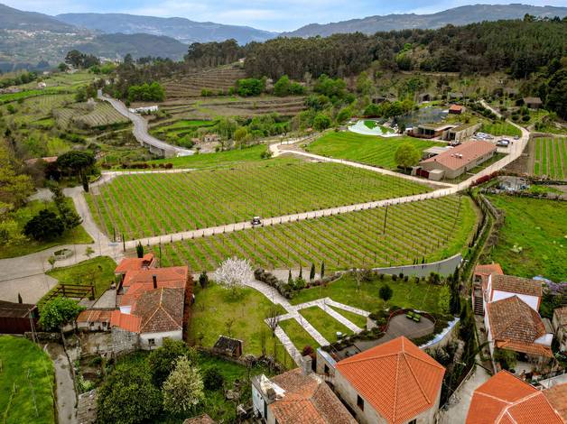 Evento - Corporativo de Fotografia Corporativa - Lavandeira Douro Nature & Wellness