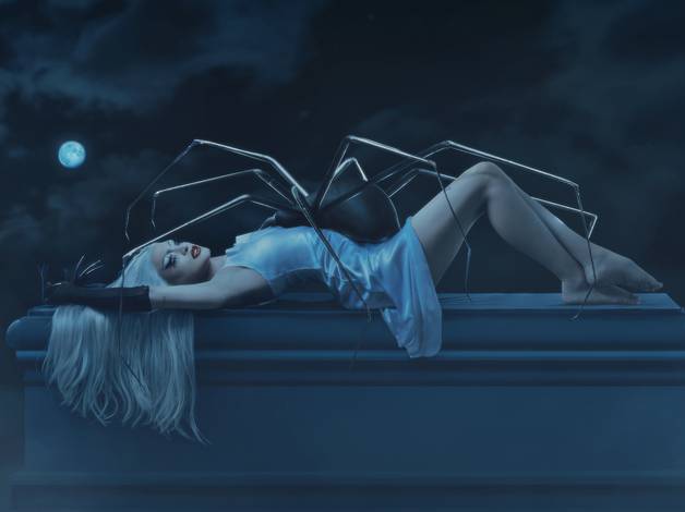 ARTÍSTICO de KIM KARDASHIAN - BARONESA