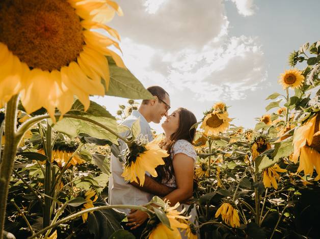 Ensaios de Andressa + Flávio