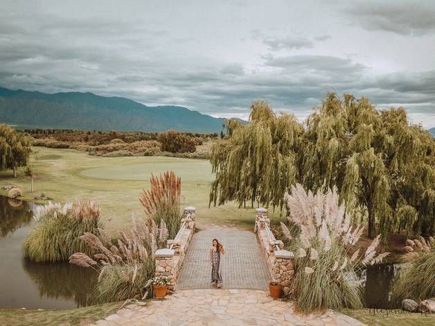 Mis sesiones de Trini