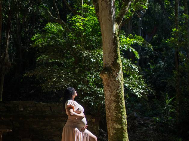 Ensaios de Lara Gestante