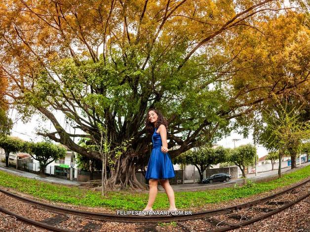 15 anos de Luíza - Book 15 anos