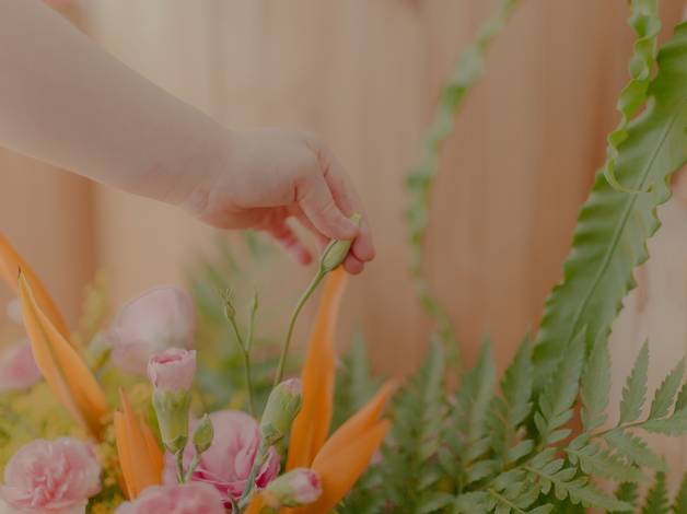 galerias de Lys {4 aninhos}