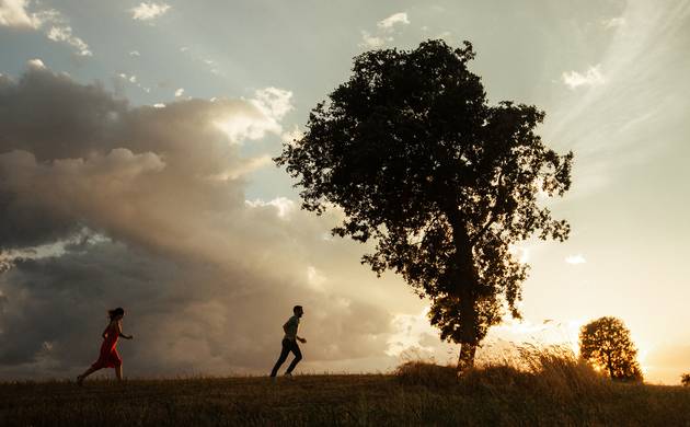 Solteiros de Joana & André
