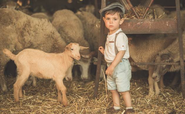 Sessões Fotográficas de Grávida de Martim