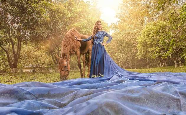 Ensaios temáticos de Ensaio Dress Horse