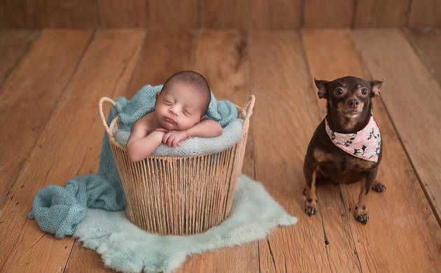 Gestantes de Gael as 16 dias de vida 