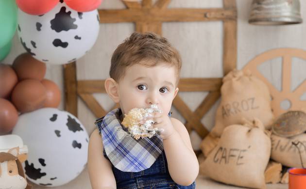 Smash the Cake de José Felipe - Tema: Fazendinha 