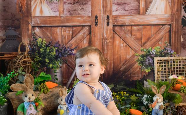 Acompanhamento Bebê de Joaquim 