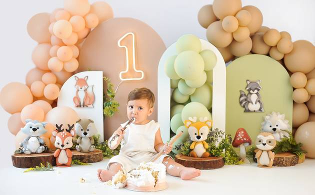 Acompanhamento Bebê de Antônio - acompanhamento trimestral 