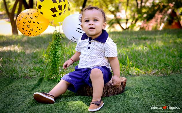 Acompanhamento Bebê de João Rafael - Trimestral 