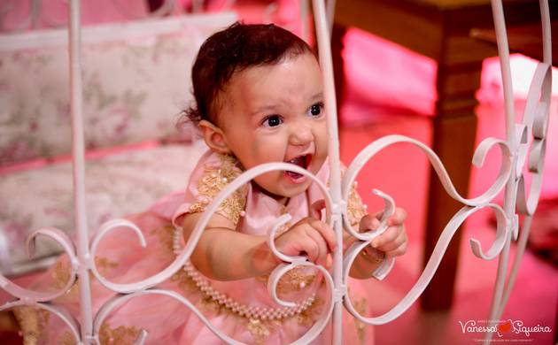 Aniversário Infantil de Ana Laura - 1º aninho