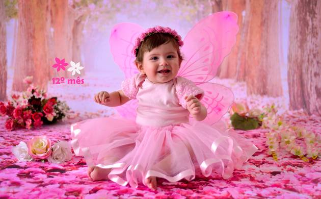 Acompanhamento Bebê de Heloisa - Trimestral 