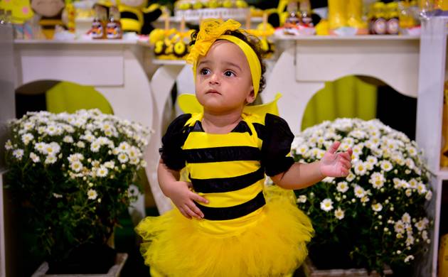 Aniversário Infantil de Sophia 1º aninho