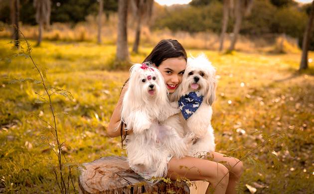 Ensaios externos  de Ana Flavia