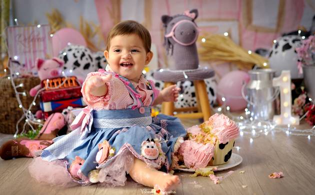 Smash the Cake de Rebecca - Fazendinha Rosa