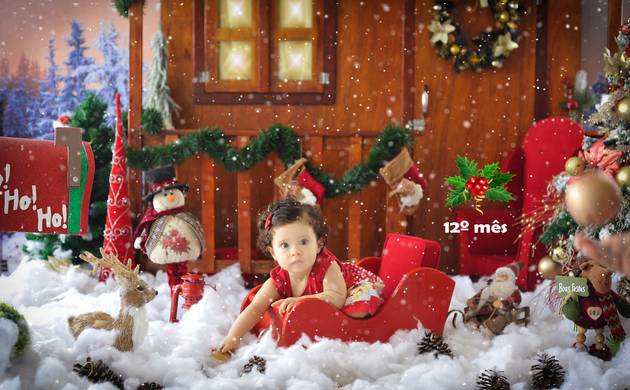 Acompanhamento Bebê de Clarice - Mensal 